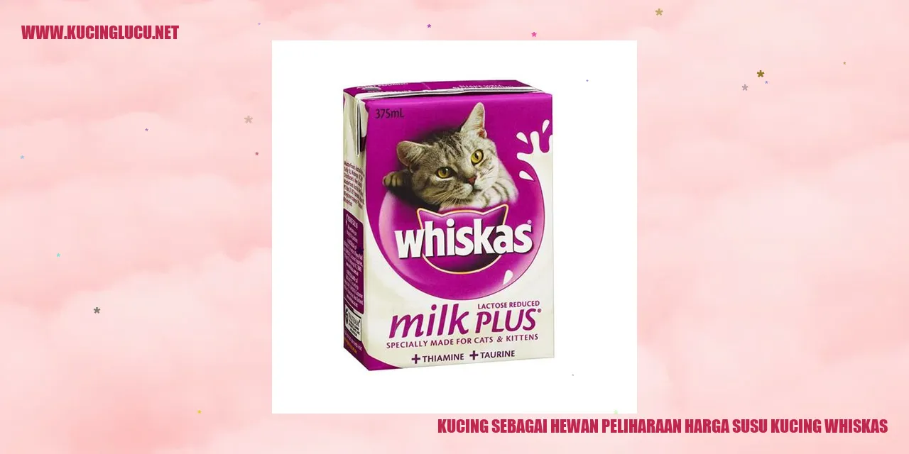Gambar kucing menggemaskan