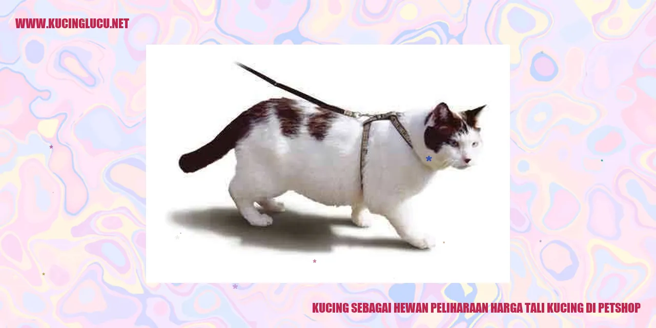 Gambar Kucing