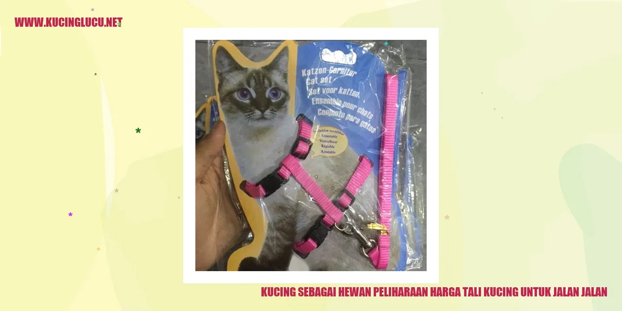 Gambar Kucing Menggunakan Tali untuk Jalan-jalan
