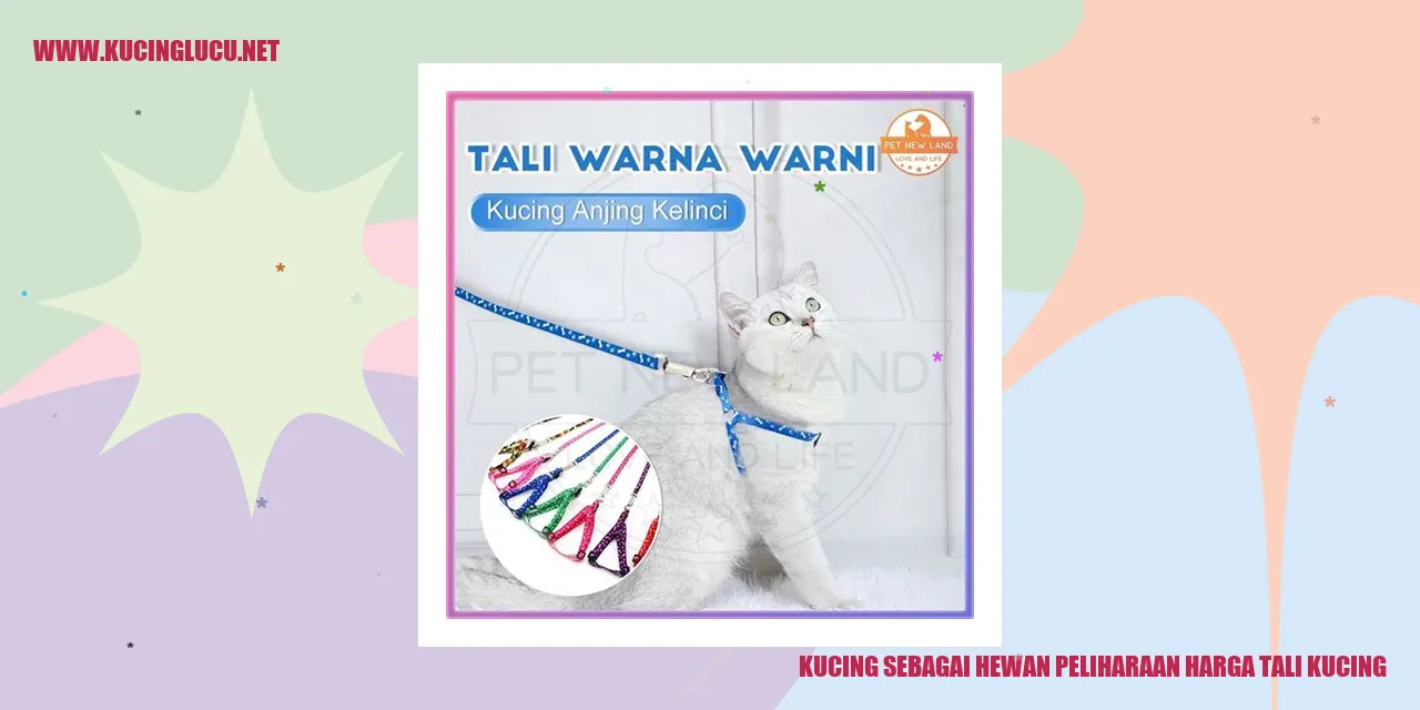gambar kucing peliharaan