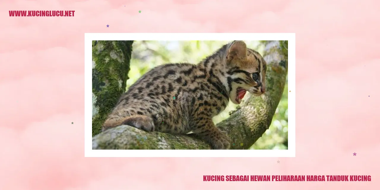Kucing sebagai Hewan Peliharaan