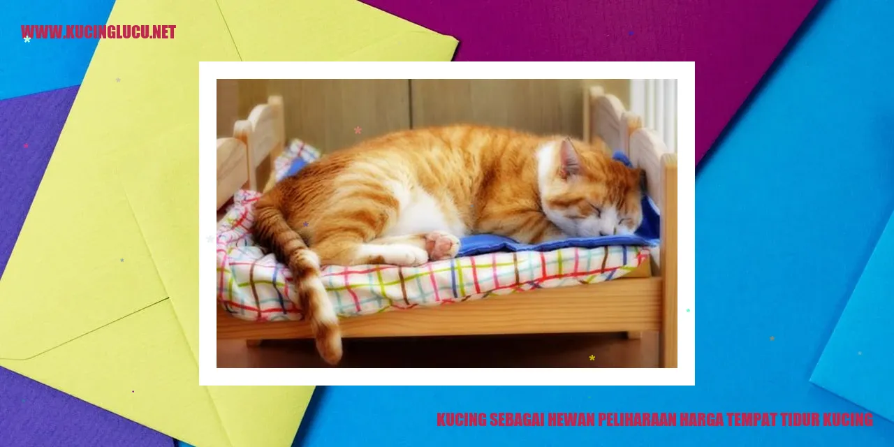 Foto Kucing dalam Tempat Tidur