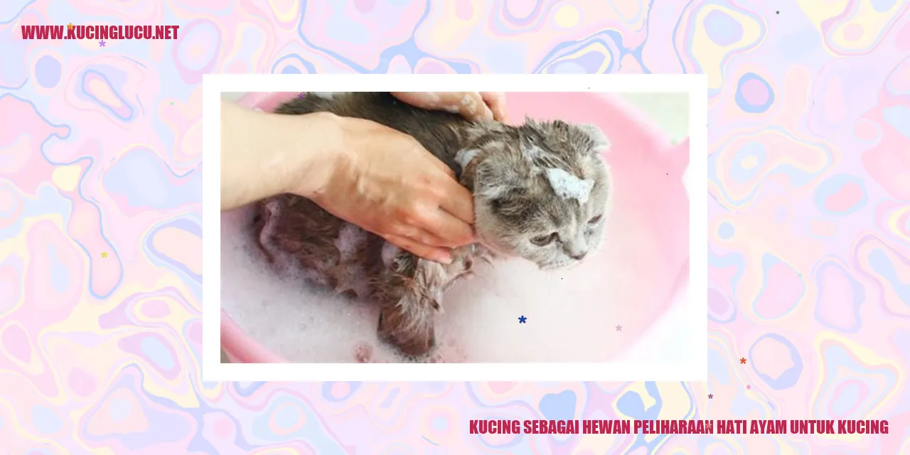 Kucing sebagai Hewan Peliharaan hati ayam untuk kucing