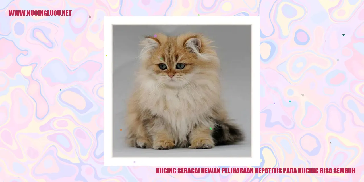 Gambar Kucing sebagai Hewan Peliharaan hepatitis pada kucing bisa sembuh