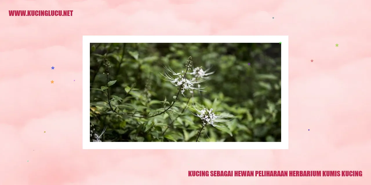 Kucing sebagai Hewan Peliharaan