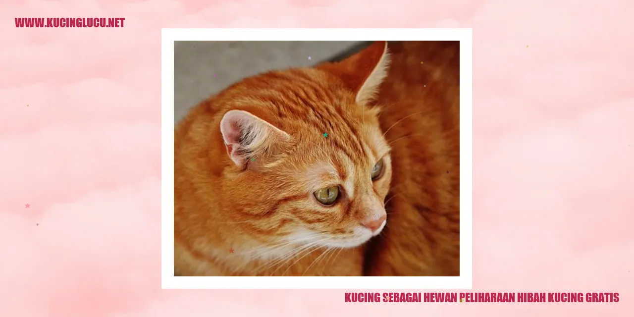 Kucing sebagai Hewan Peliharaan