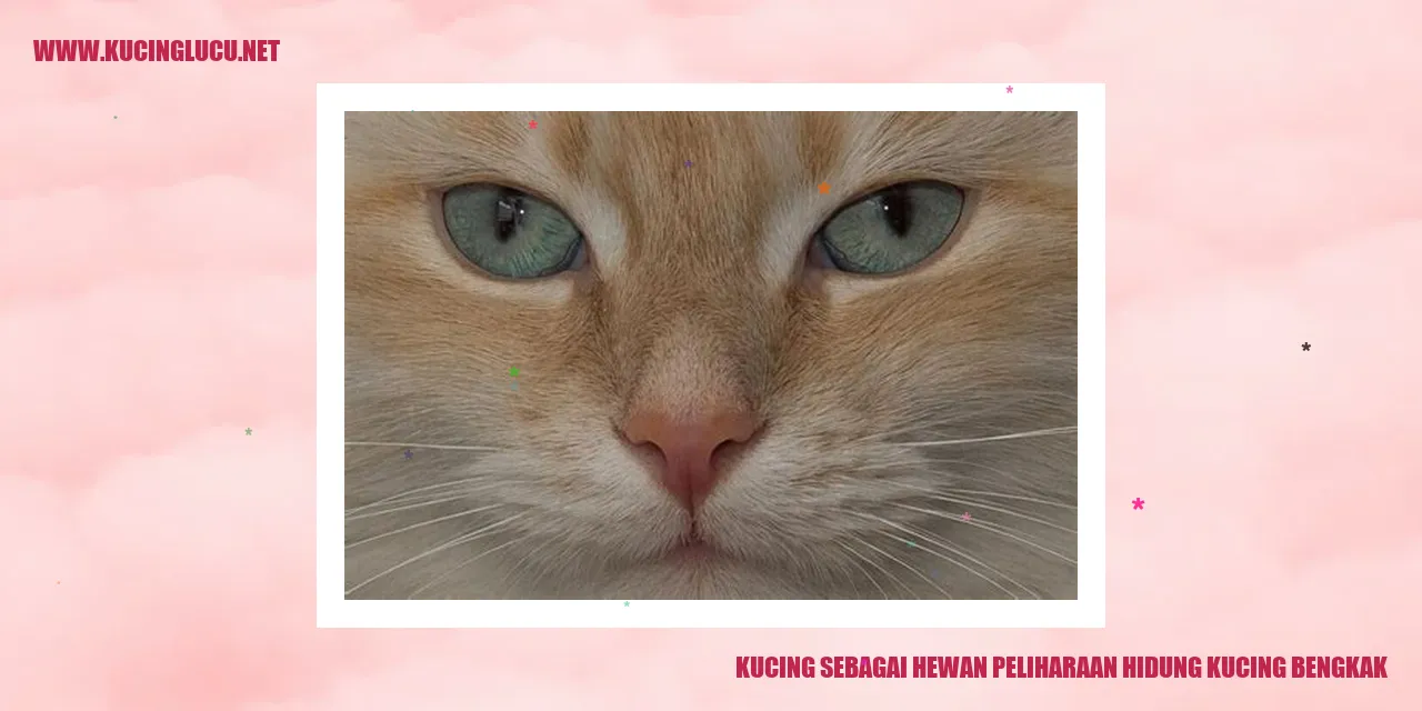 Kucing dengan hidung bengkak