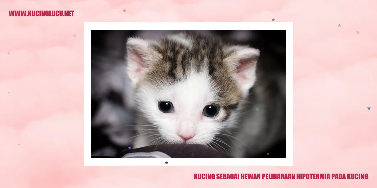 Kucing sebagai Hewan Peliharaan