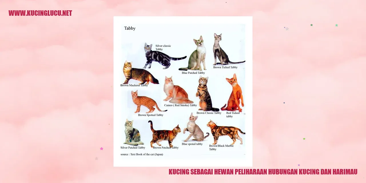 Kucing sebagai Hewan Peliharaan hubungan kucing dan harimau