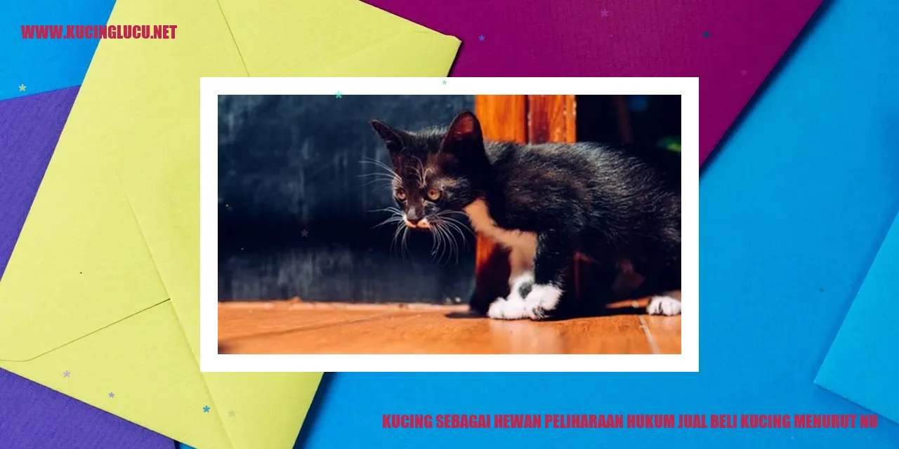 Ilustrasi Mengenal Kucing sebagai Hewan Peliharaan dan Hukum Jual Beli Menurut NU