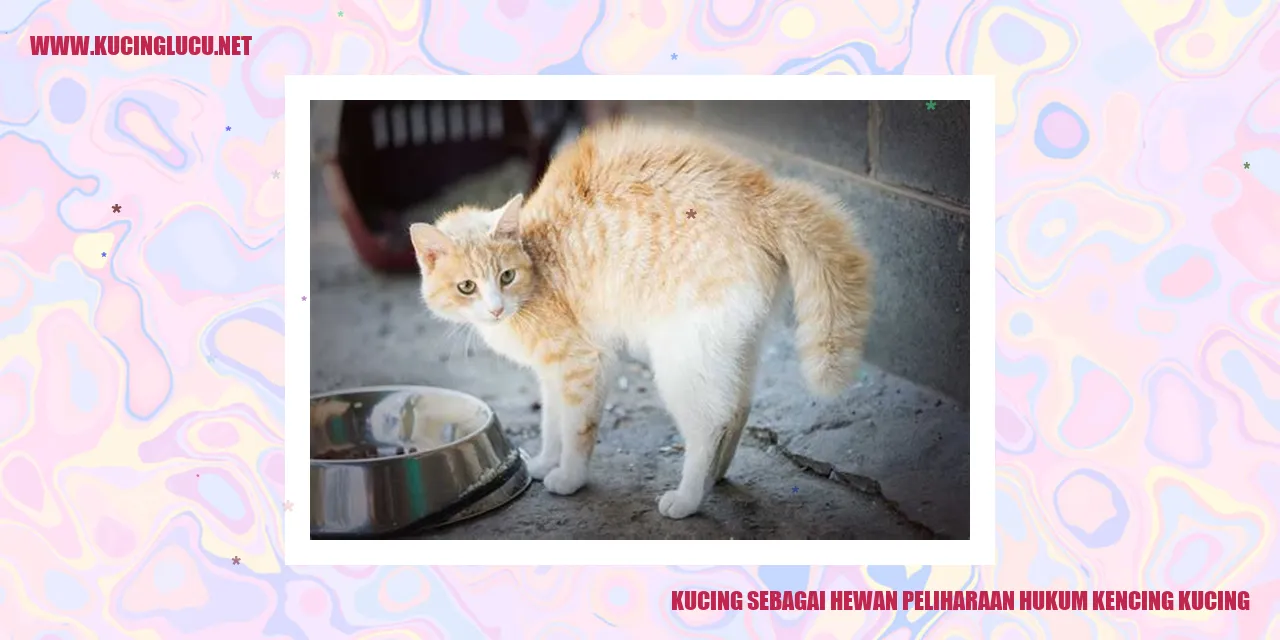 Kucing sebagai Hewan Peliharaan