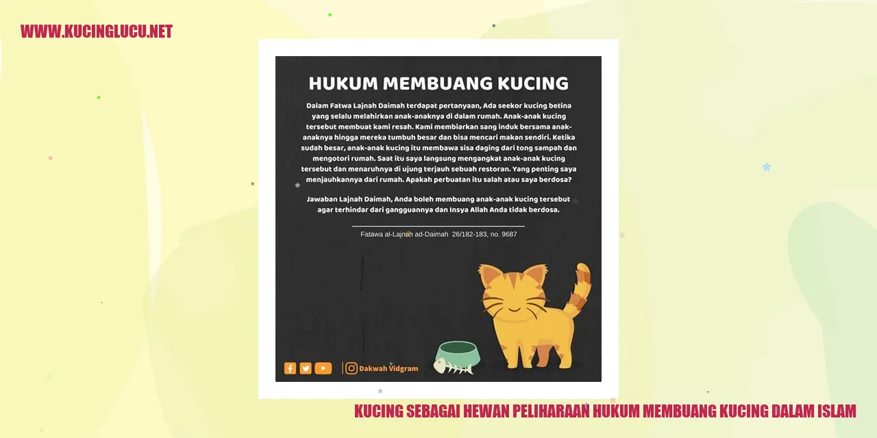 Gambar kucing sebagai hewan peliharaan dalam Islam