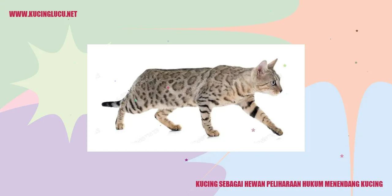 Kucing sebagai Hewan Peliharaan