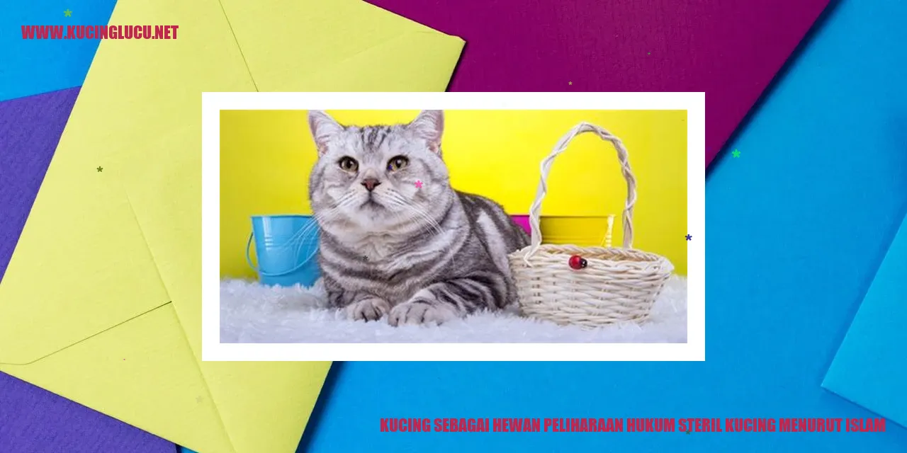 Kucing sebagai Hewan Peliharaan menurut Islam