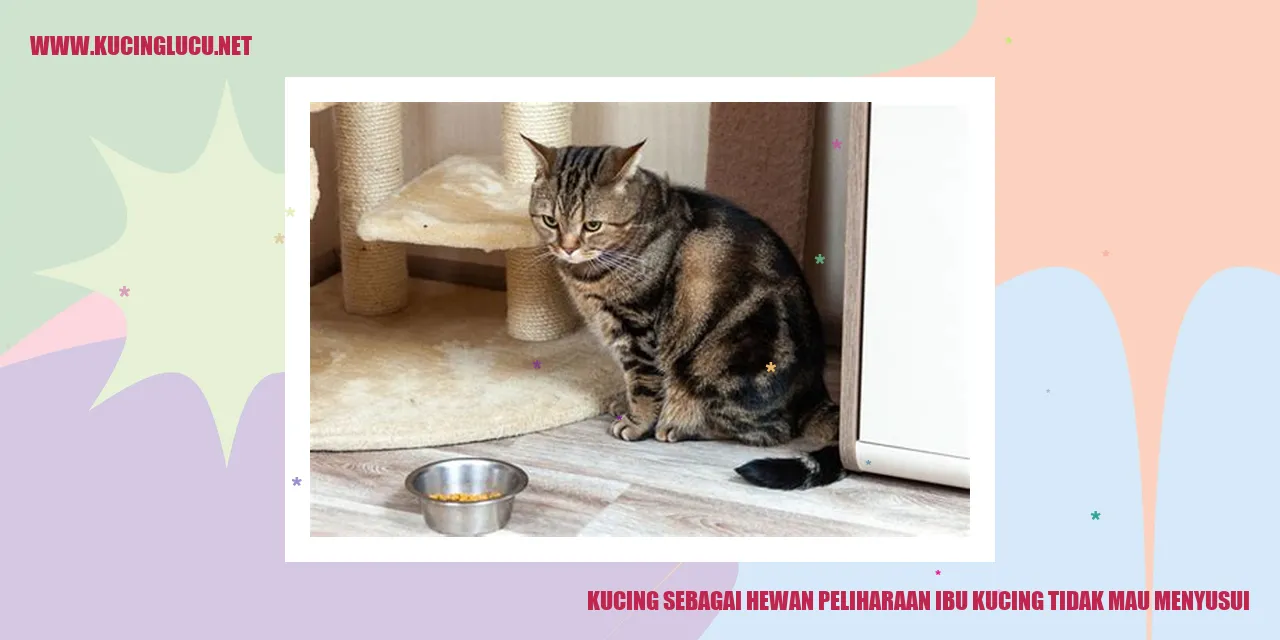 Ibu kucing menolak menyusui
