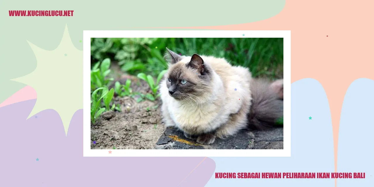 Kucing Sebagai Hewan Peliharaan