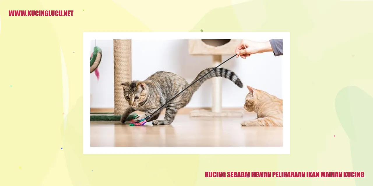 Kucing Gemas dengan Ikan Mainan