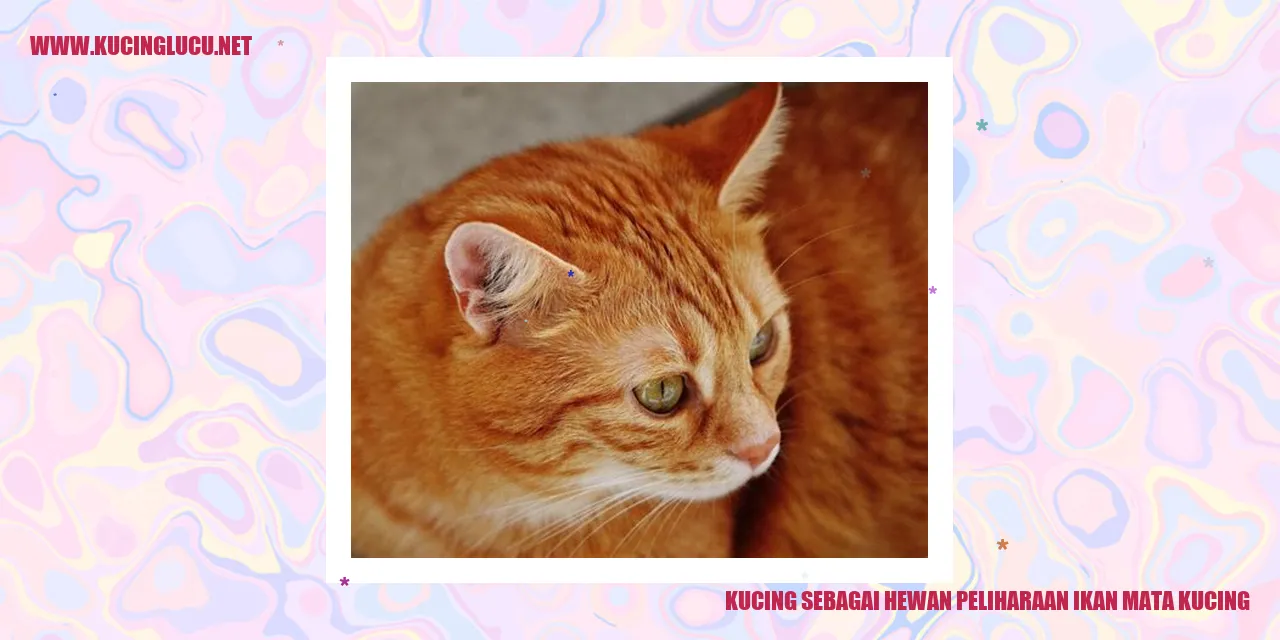 Kucing ikan mata kucing
