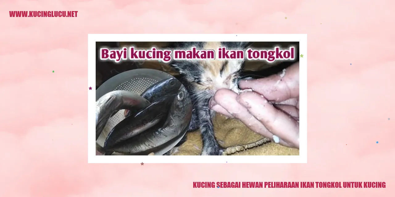 Foto Kucing Yang Terlihat Menggemaskan