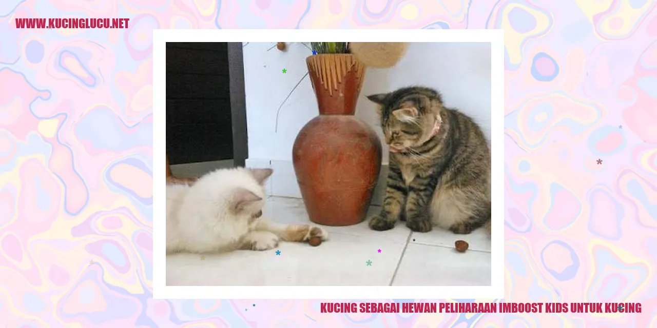 gambar kucing