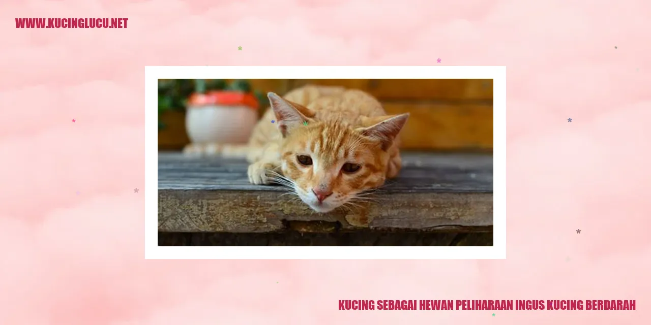 Kucing Berdarah