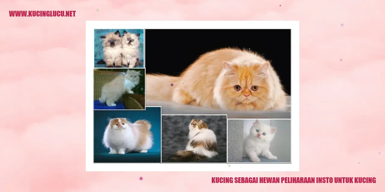 Kucing sebagai Hewan Peliharaan