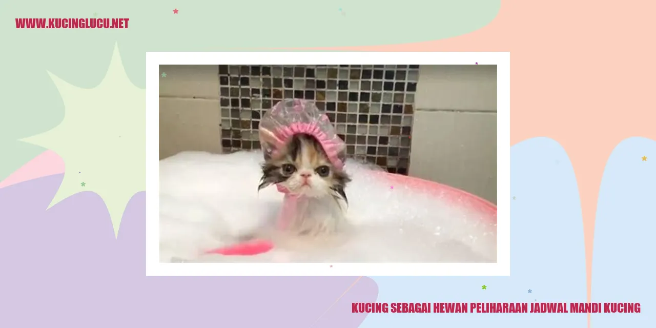 Kucing saat mandi