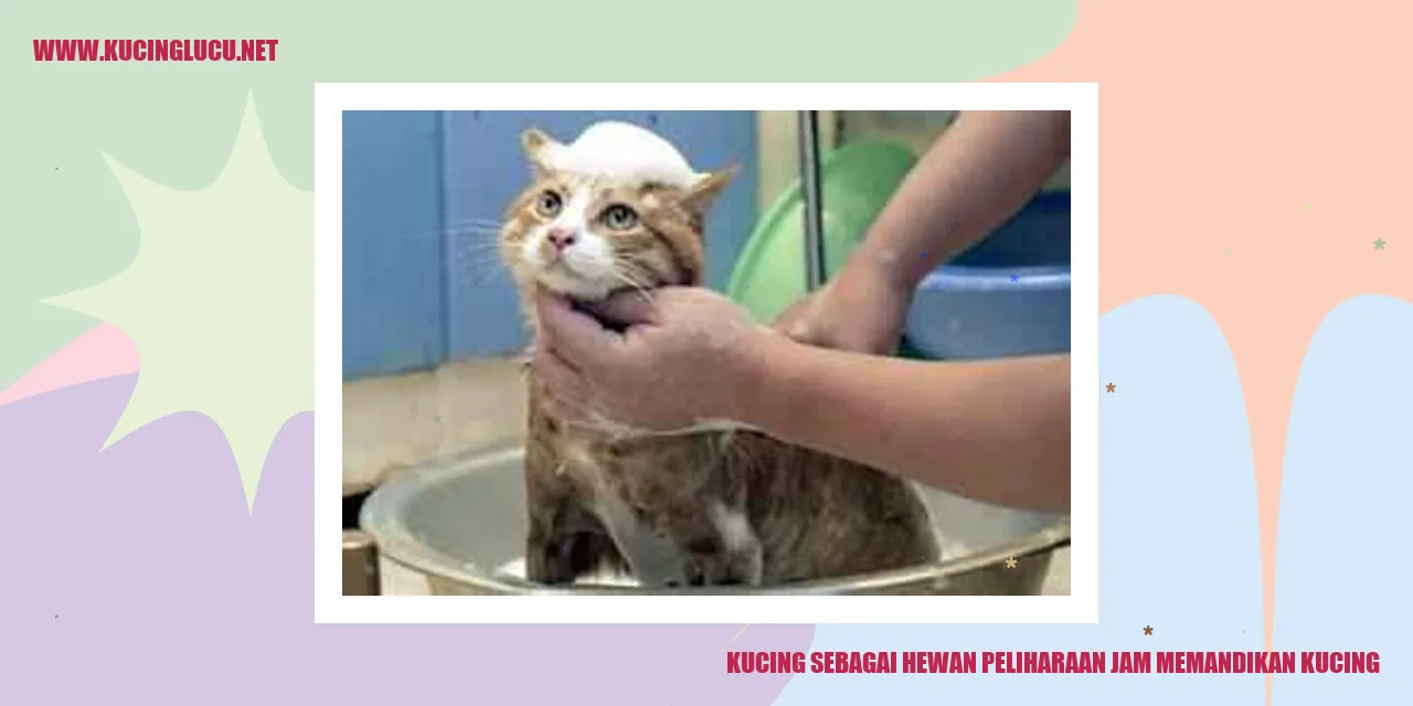 Foto Kucing yang Lucu