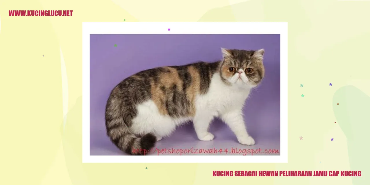 Kucing sebagai Hewan Peliharaan jamu cap kucing