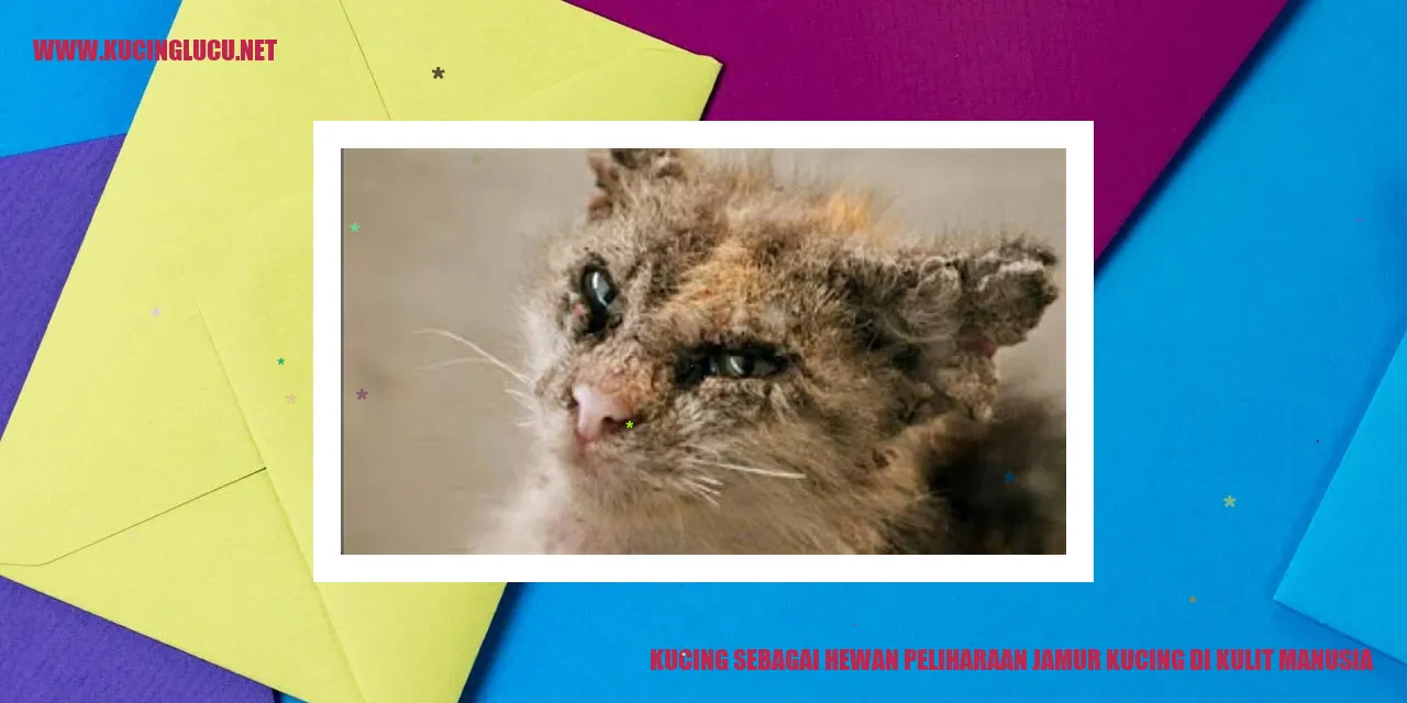 Kucing sebagai Hewan Peliharaan