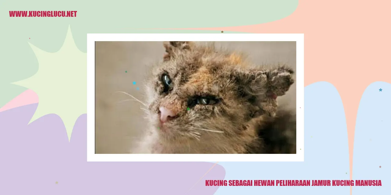 Kucing sebagai Hewan Peliharaan jamur kucing manusia