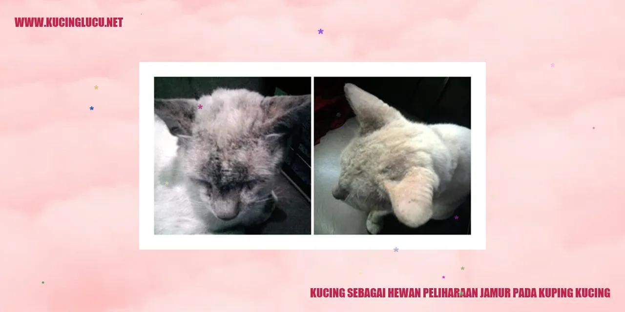 Kucing sebagai Hewan Peliharaan