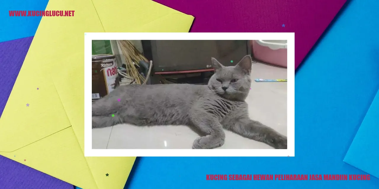 Kucing Sebagai Hewan Peliharaan