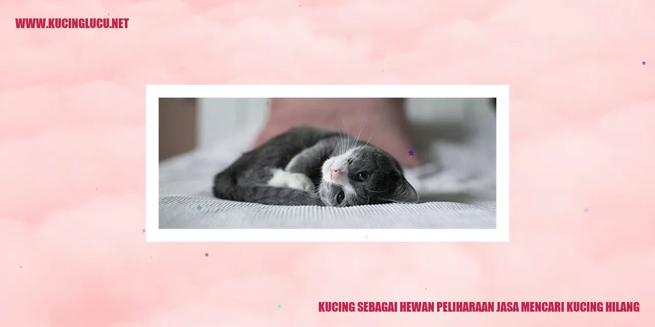 Kucing mencari kucing hilang