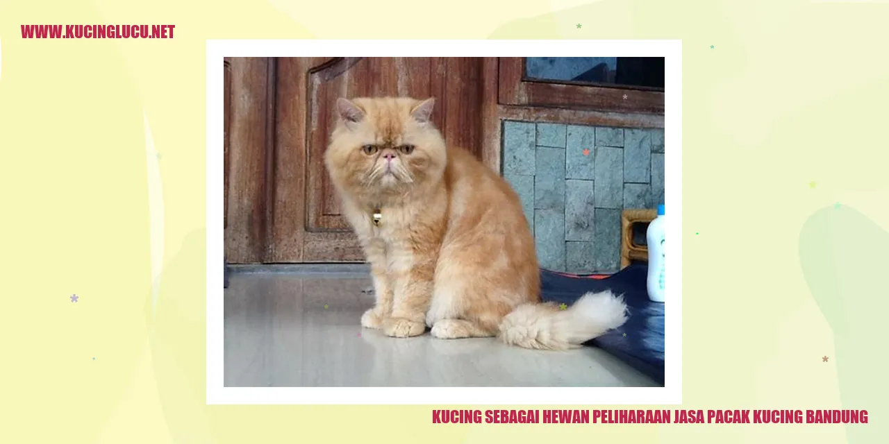 Kucing sebagai Hewan Peliharaan