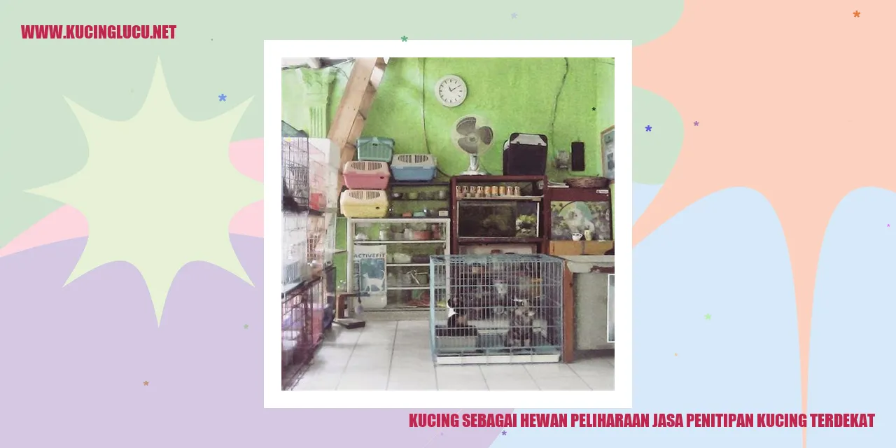 Kucing sebagai Hewan Peliharaan