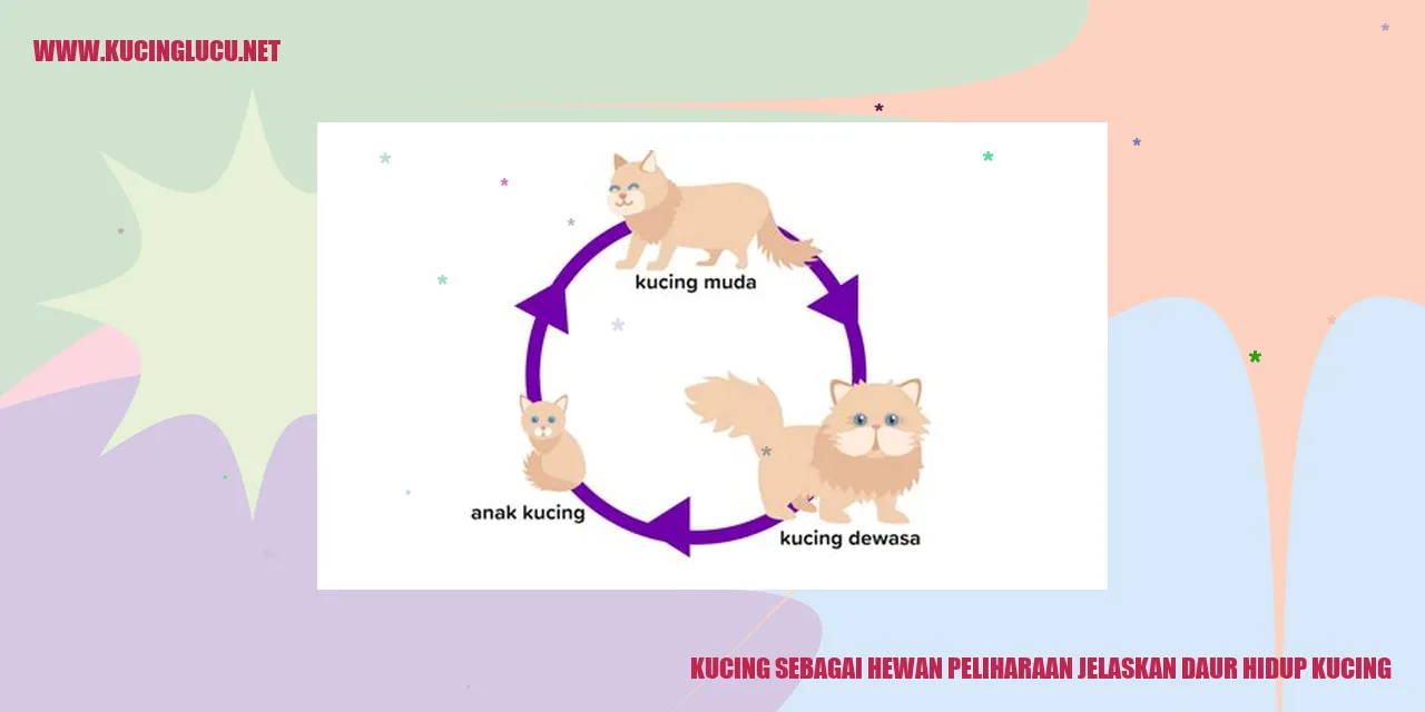 Gambar kucing