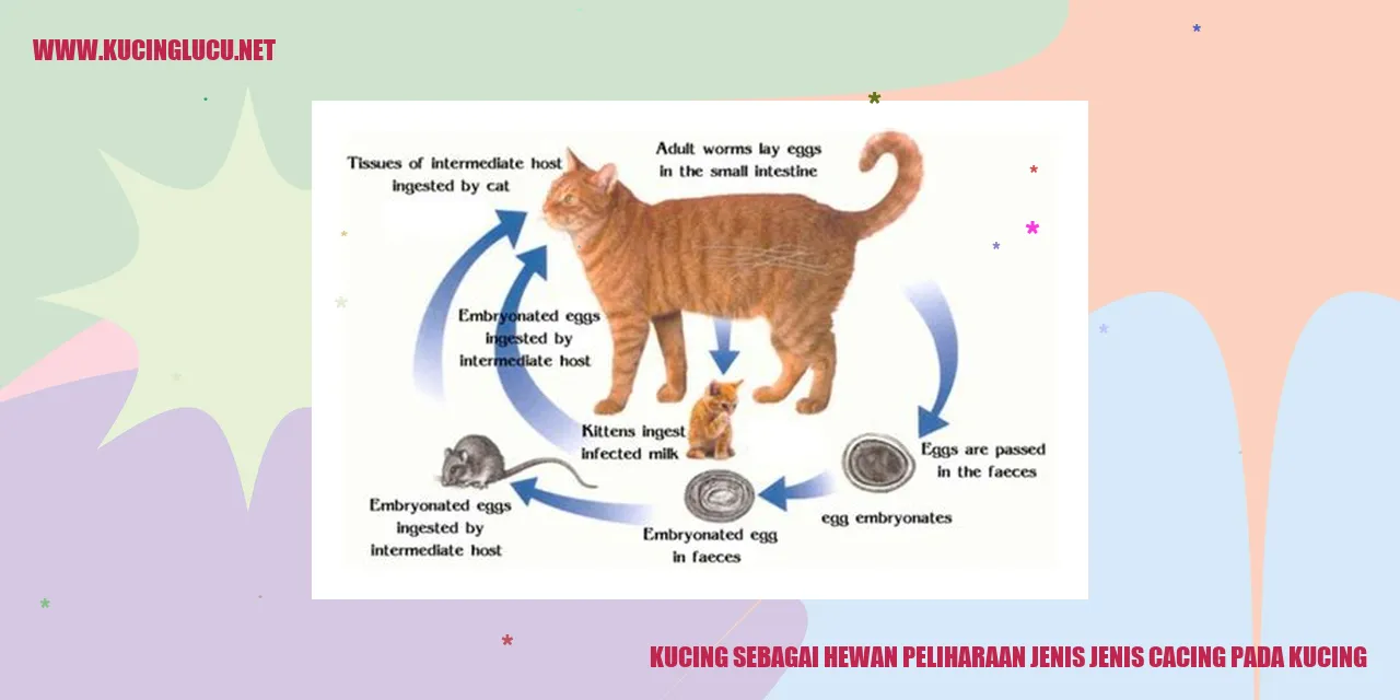Kucing sebagai Hewan Peliharaan