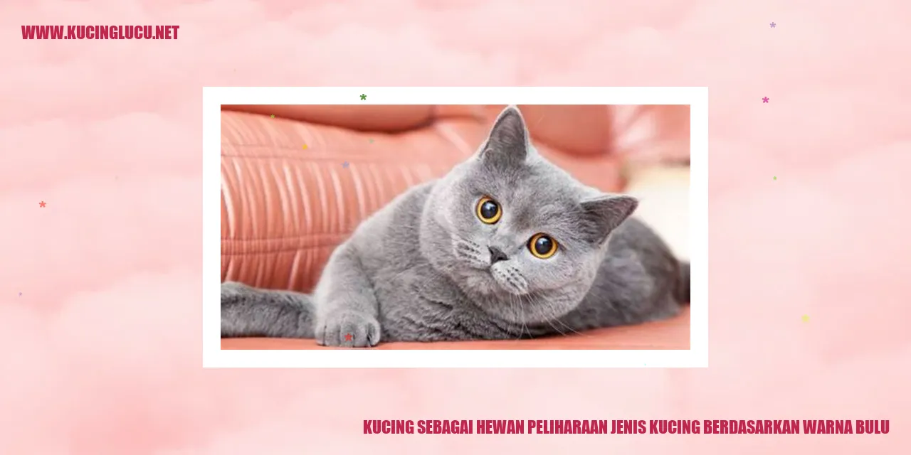 Kucing dengan kombinasi warna bulu yang beragam