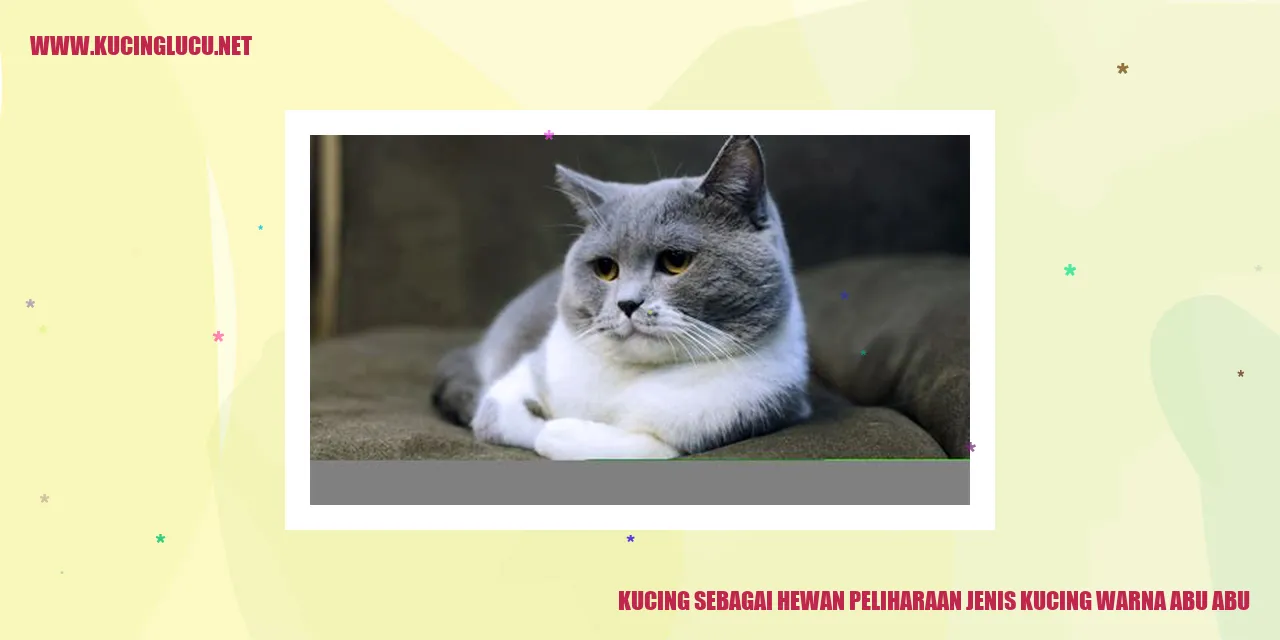 Gambar kucing abu-abu