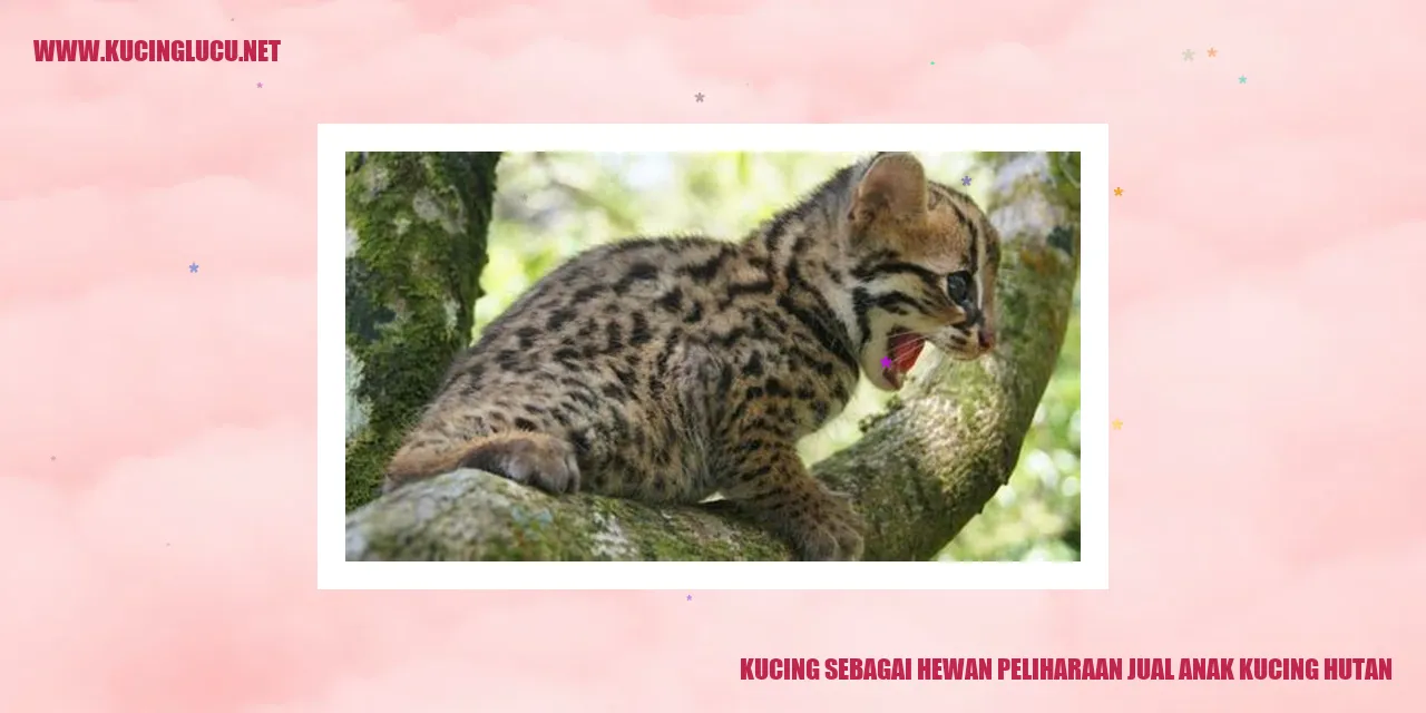 Kucing sebagai Hewan Peliharaan