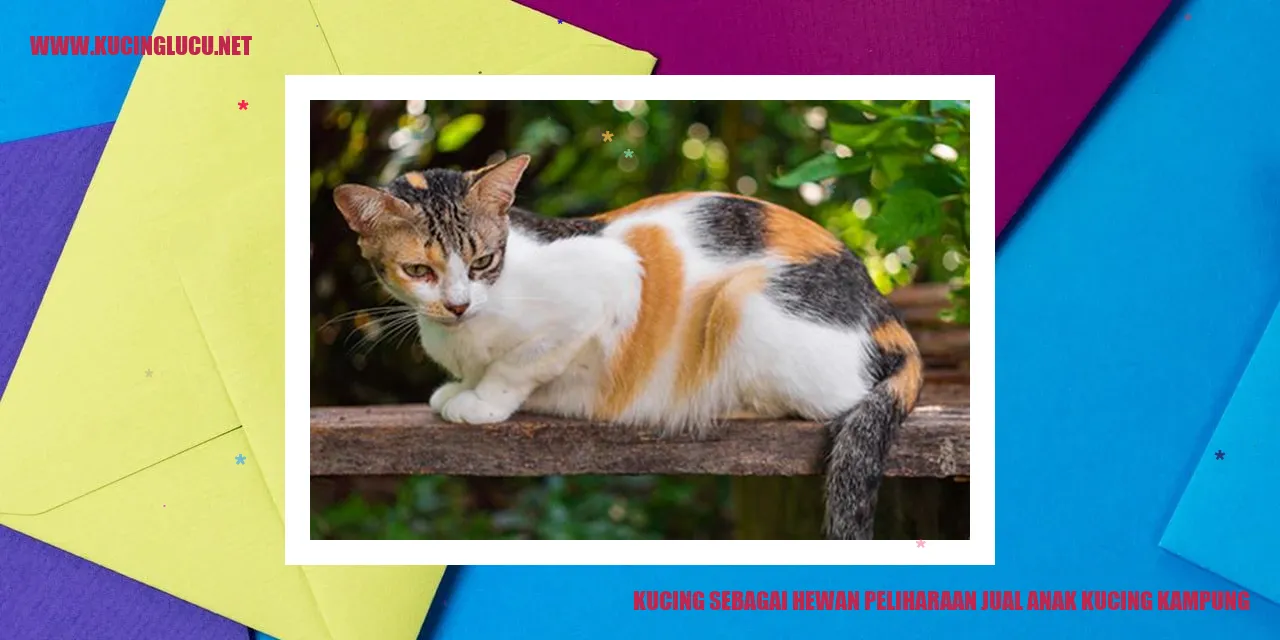 Gambar Kucing sebagai Hewan Peliharaan