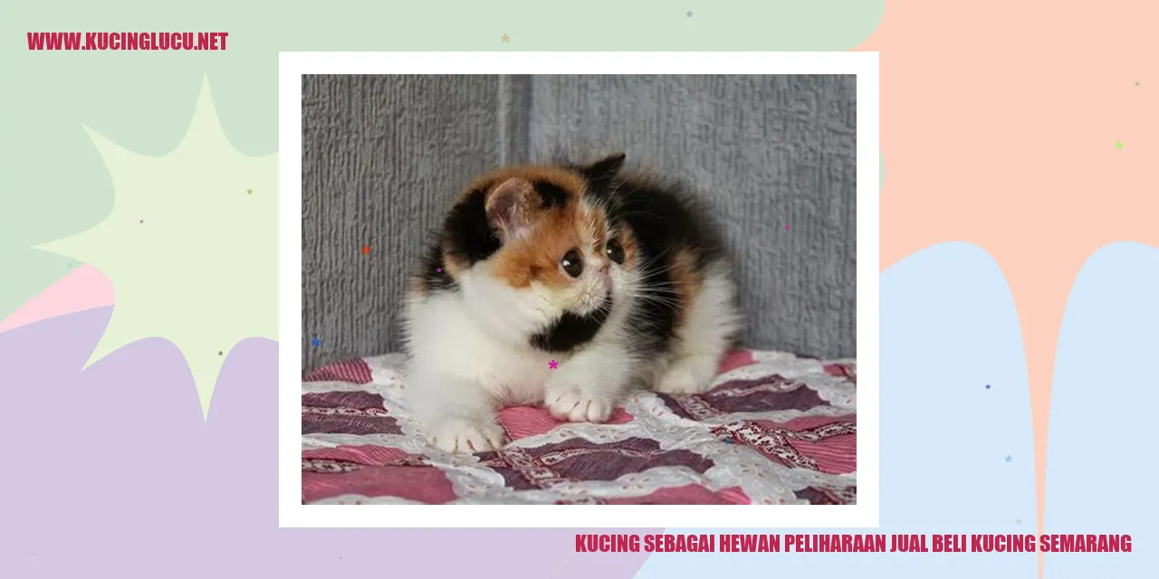 Kucing sebagai Hewan Peliharaan jual beli kucing semarang