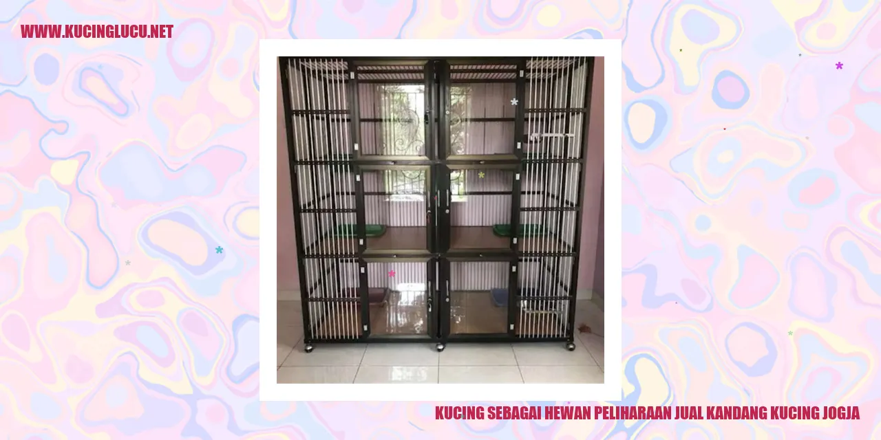 Kucing sebagai Hewan Peliharaan