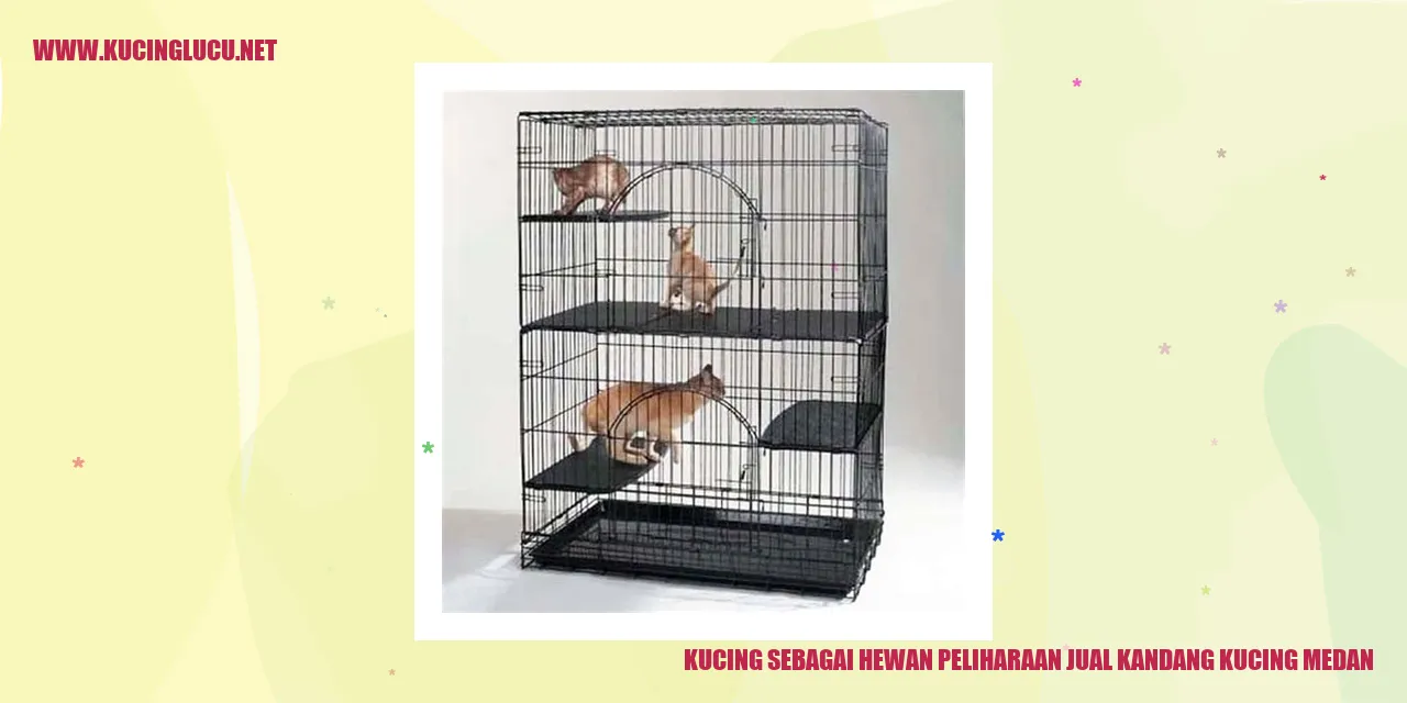 Kucing sebagai Hewan Peliharaan