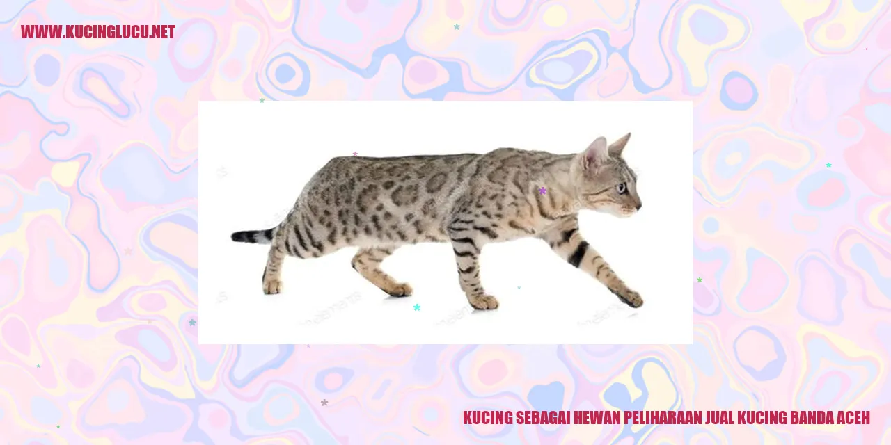 kucing sebagai hewan peliharaan