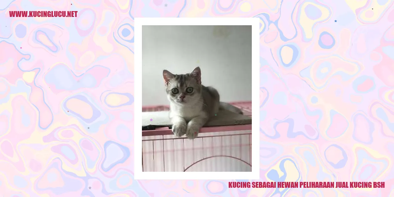 Kucing sebagai Hewan Peliharaan