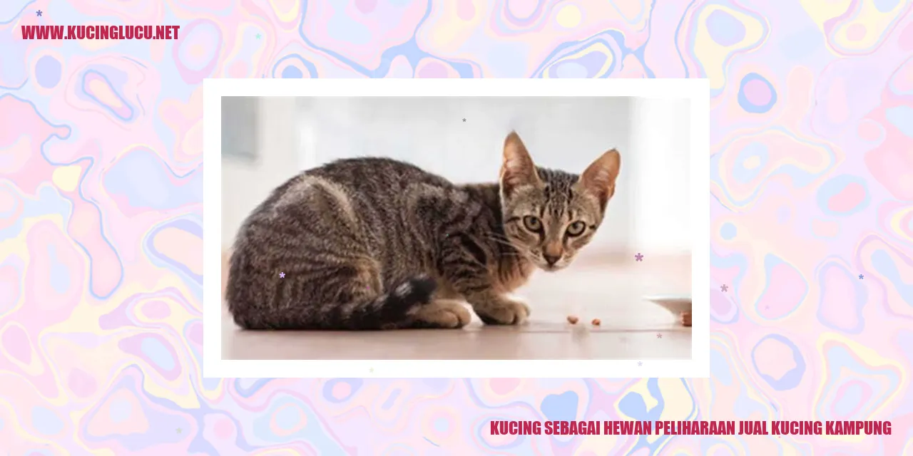 Kucing sebagai Hewan Peliharaan yang Menyenangkan