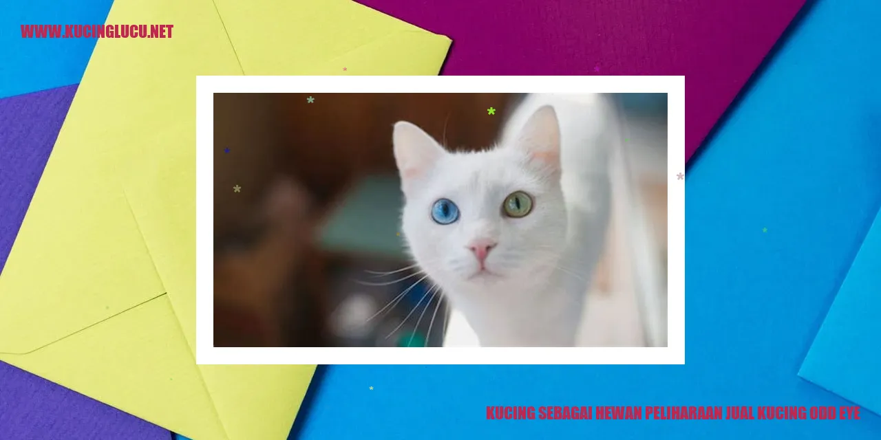 Kucing sebagai Hewan Peliharaan jual kucing odd eye