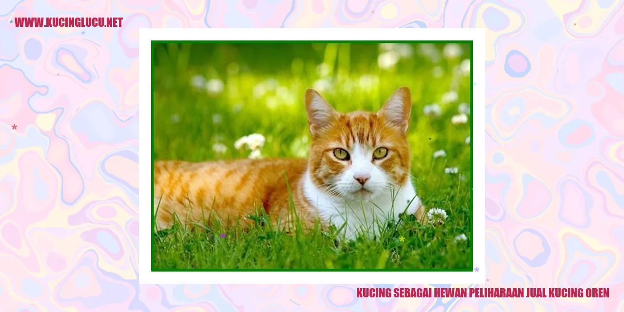 Kucing Oren
